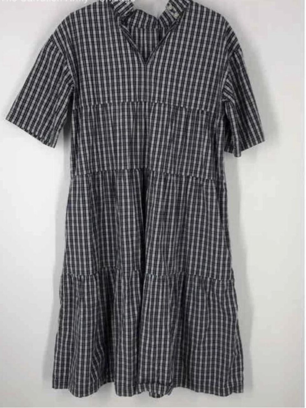 Everlane Navy and White Gingham Mini Dress - Picture 3 of 7